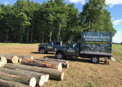 Full Service Logging